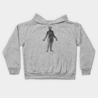 Human Vascular System Diagram Kids Hoodie